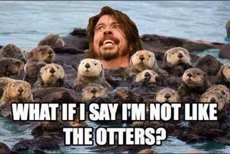 Did someone say otters