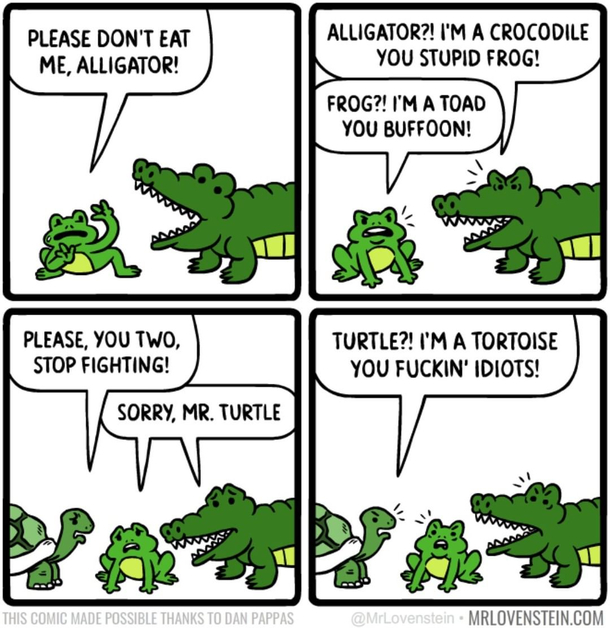 Did you just assume my species