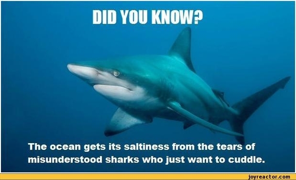 Did you know