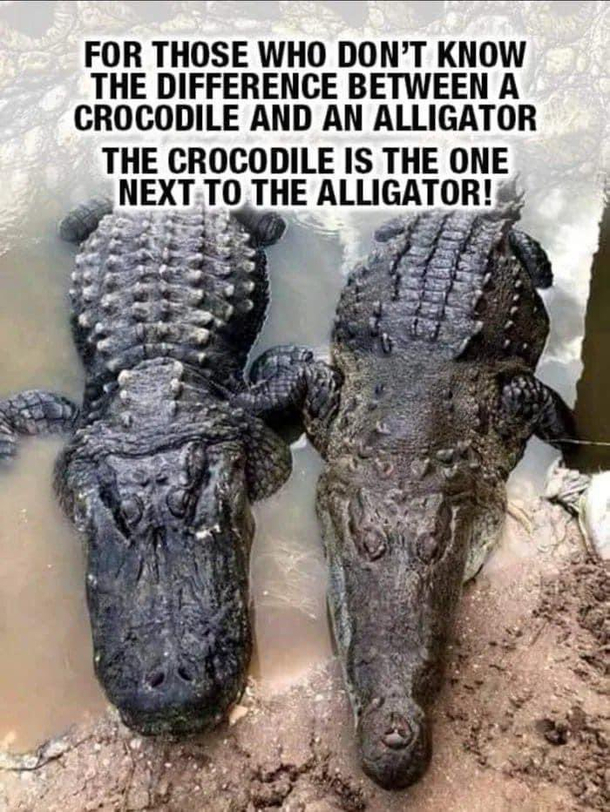 Did you know