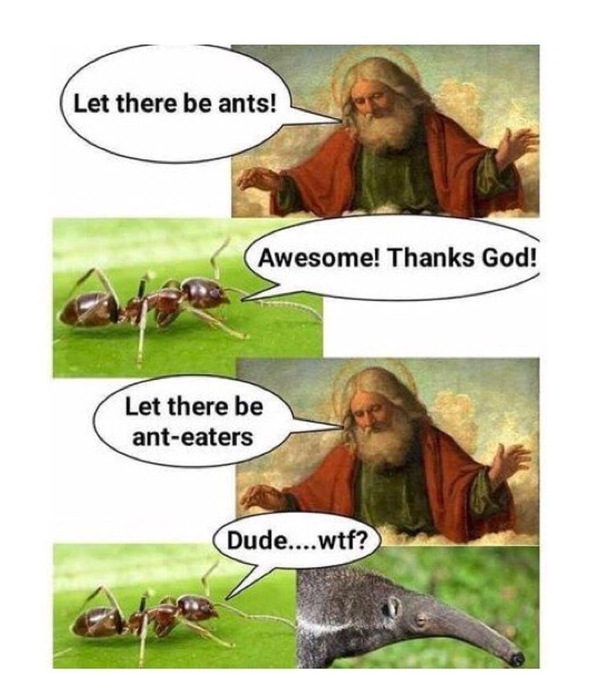 Didnt ant-icipate that