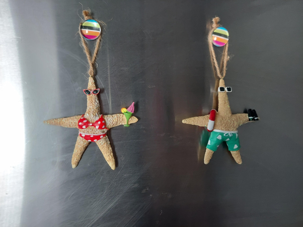Didnt feel like putting up a tree since Ill be traveling for the holidays I still wanted festive cheer so I stuck these on my fridge Its the tropical holidays in this house