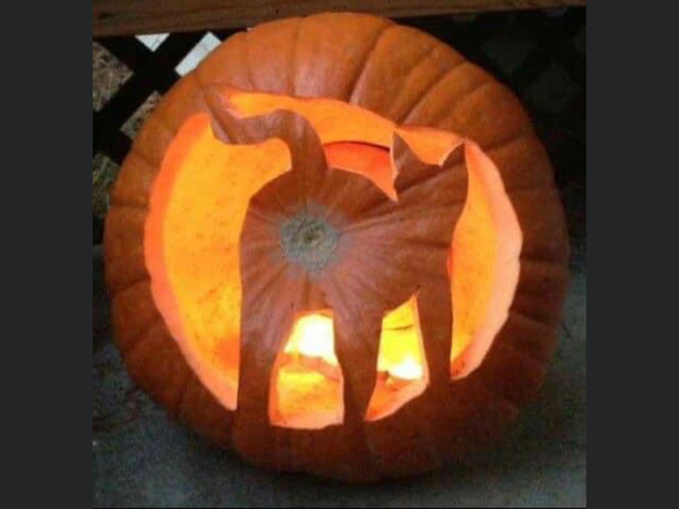Didnt get invited to the pumpkin carving contest this year I dont know why