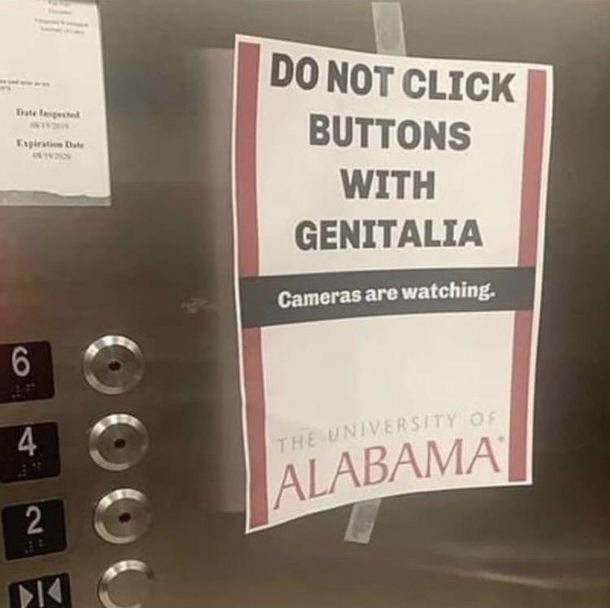 Didnt have to tell me twice