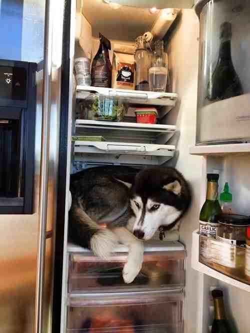 Didnt I tell you to fix the goddamn AC