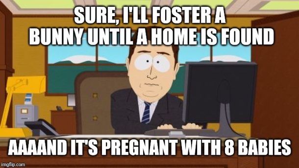 Didnt know what I was getting into