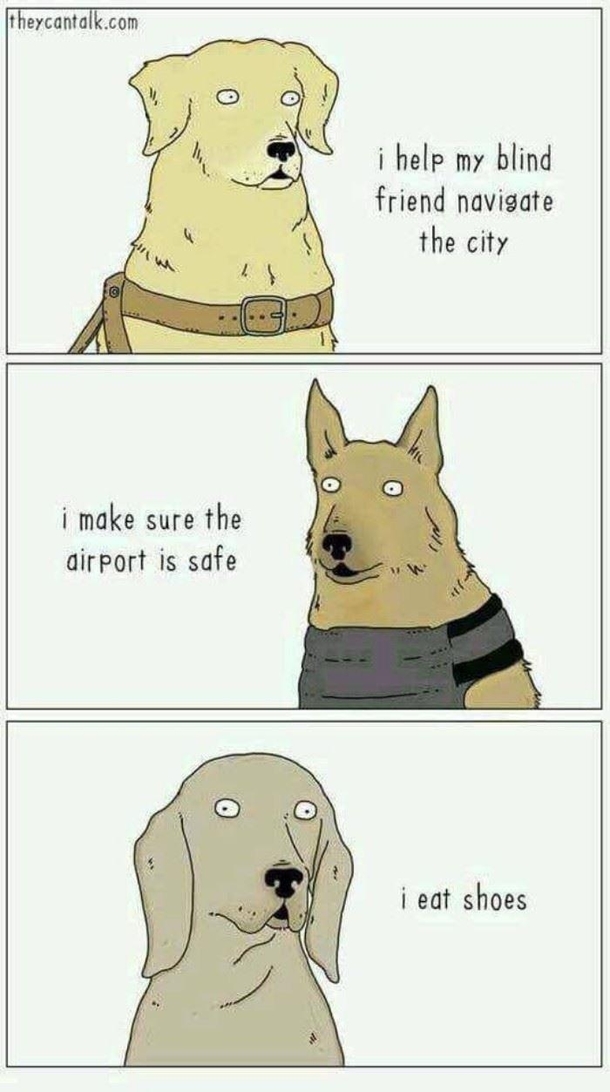 Different kinds of dogs