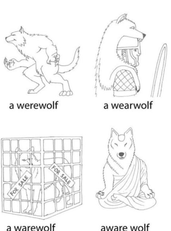 Different types of wolves