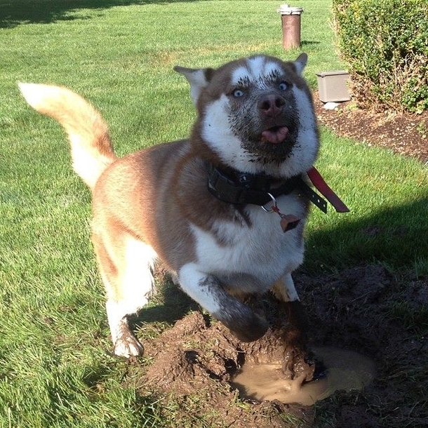 Digging a hole  why do you ask