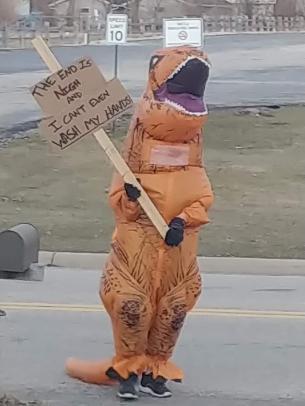 Dino knows