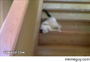Dis is dee way to go down stairs