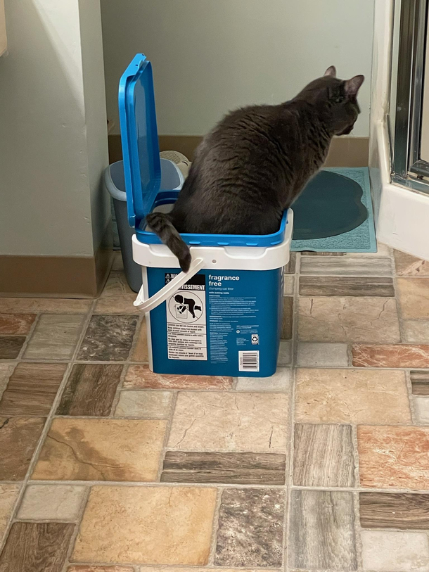 Dis where I poo wen no clean poo box