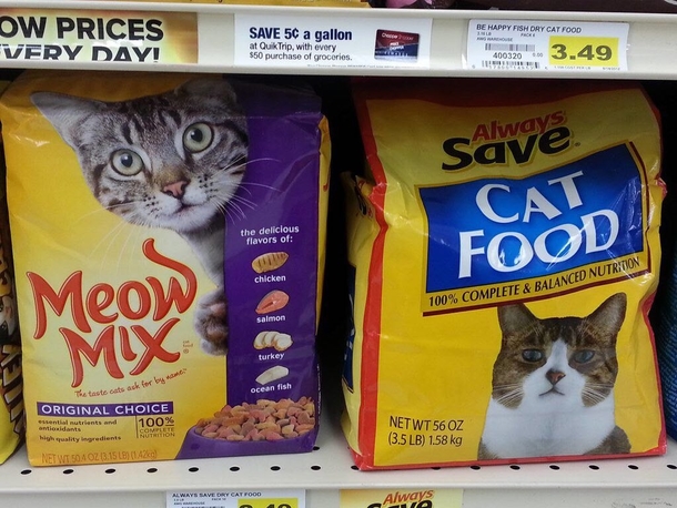 Disappointed Generic Brand Cat