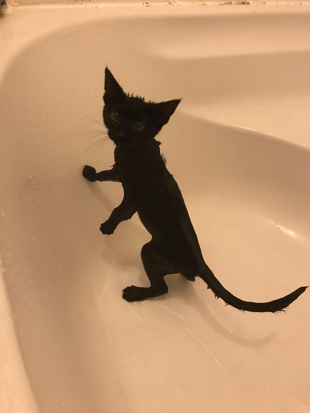 Disenchatments Luci irl
