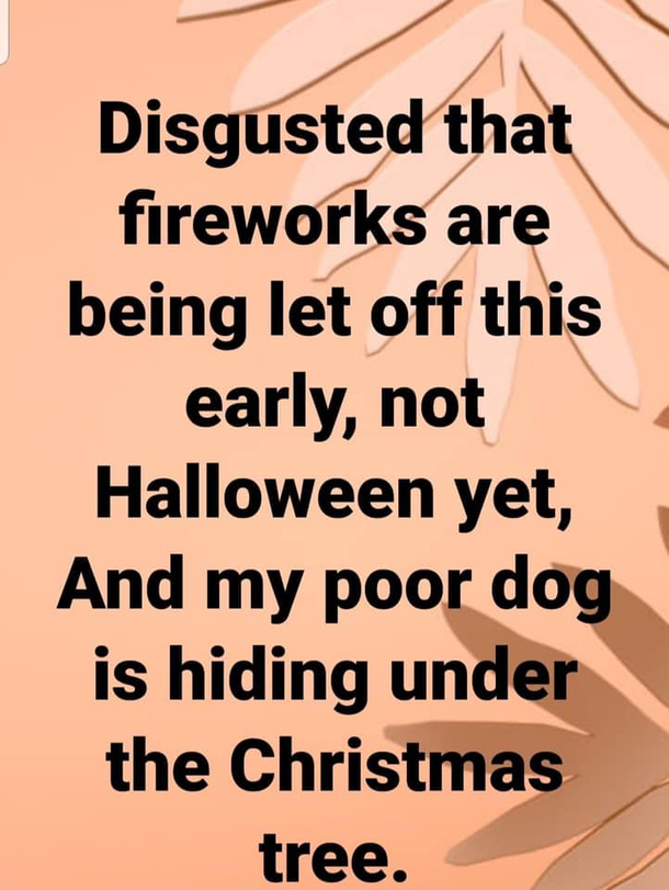 Disgusted that fireworks are being let off