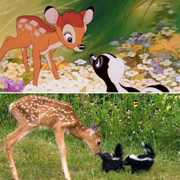 Disney got it right
