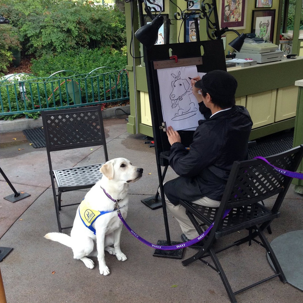 disney helper dog
