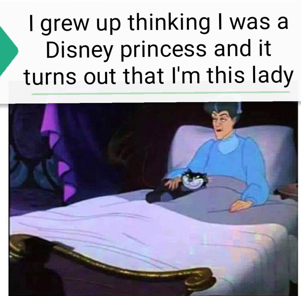 Disney princess