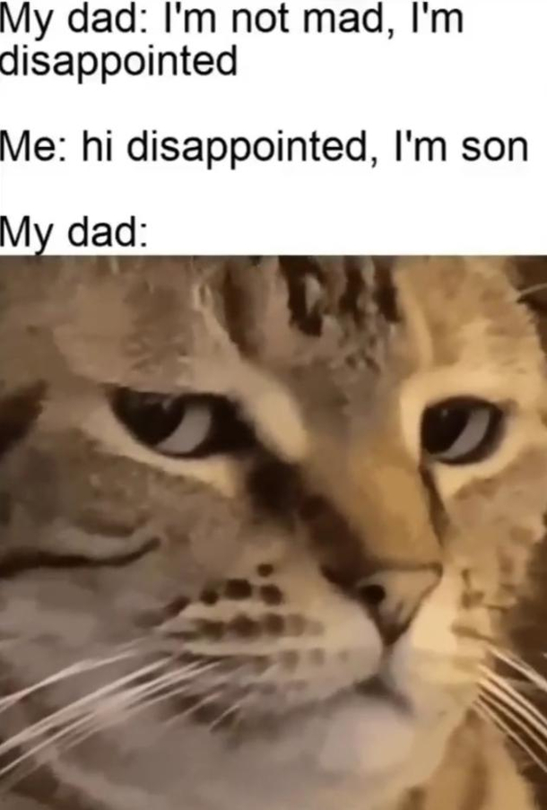 Dissapointed cat
