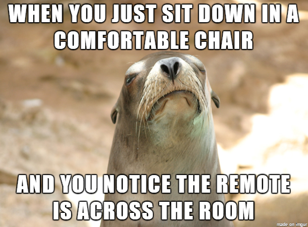 Dissatisfied Seal - Is this a new meme
