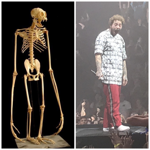 Distant cousins 