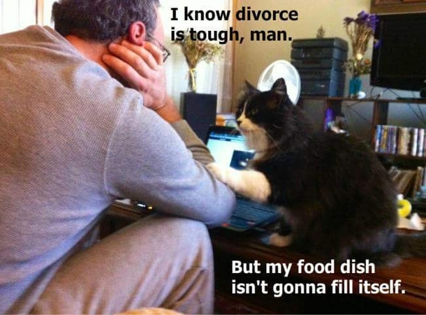 Divorce is tough