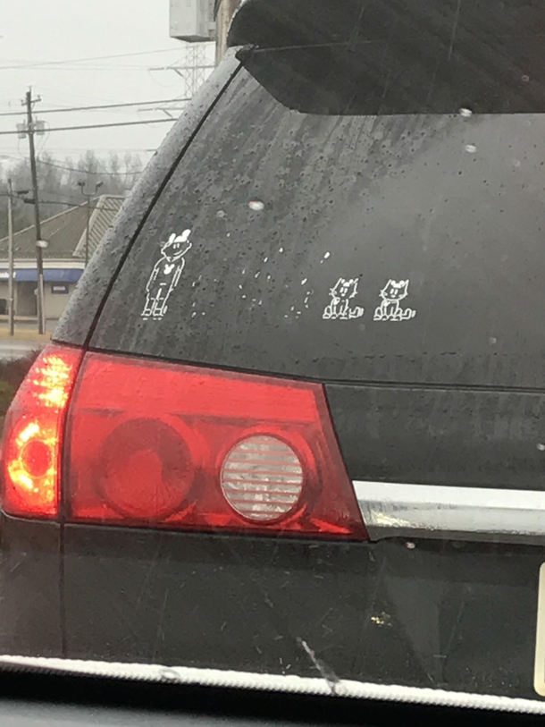 Divorced Just a man his van and his cats