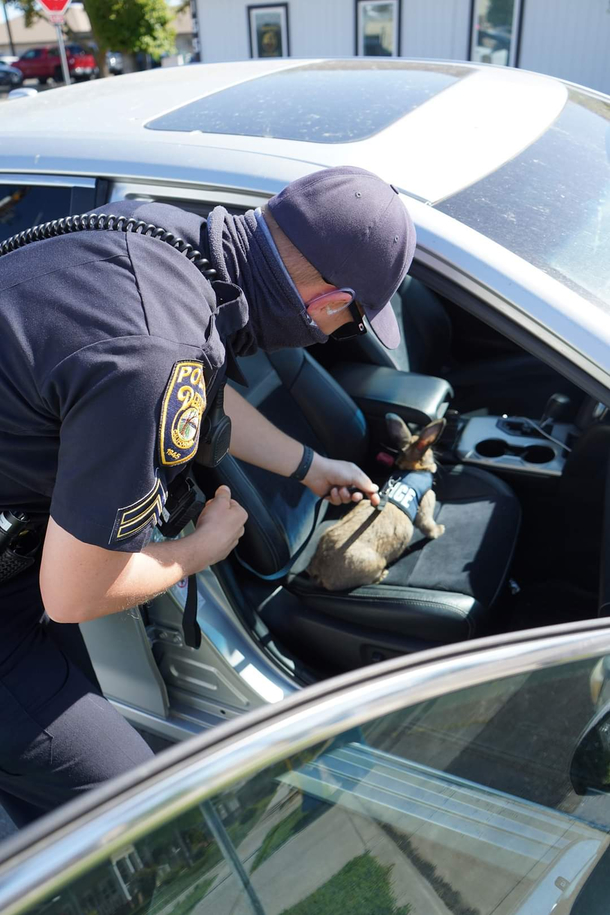 Dixon County Police Dept had this April Fools post