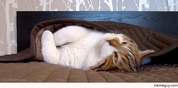 Do I have to get up
