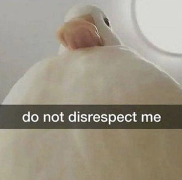 Do not disrespect me