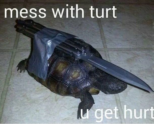Do not mess with me