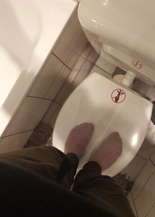 Do not T-Pose on the shitter