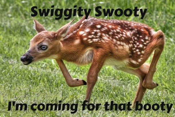 Do she got a booty 