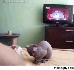 Do the naked human