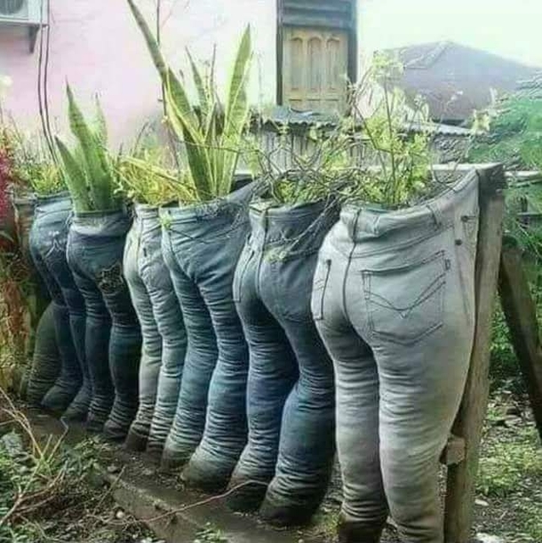 Do these pants make my grass look fat