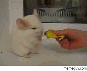 DO WANT