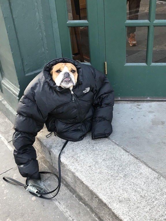 Do you even fetch bro