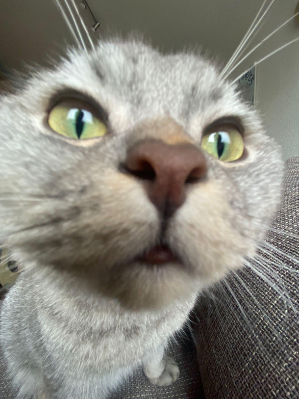 Do you have any games on your phone