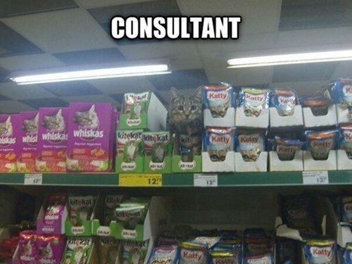 Do you have any questions