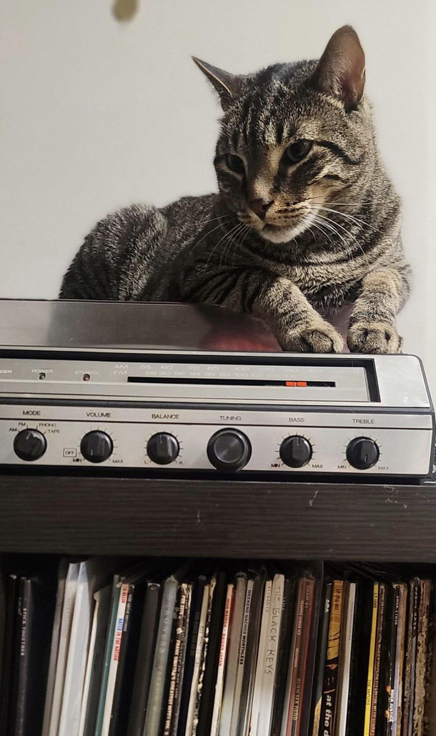 Do you have this on vinyl