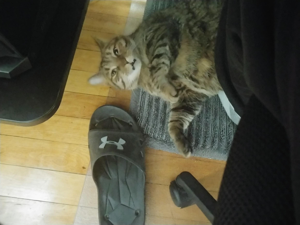 Do you mind Im trying to sleep here