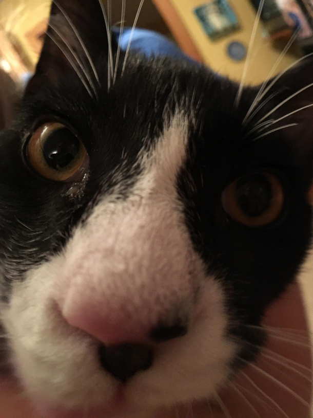 Do you realize the food dish is only half full