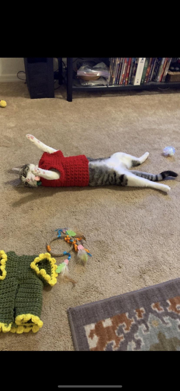 Do you think she likes her new sweater
