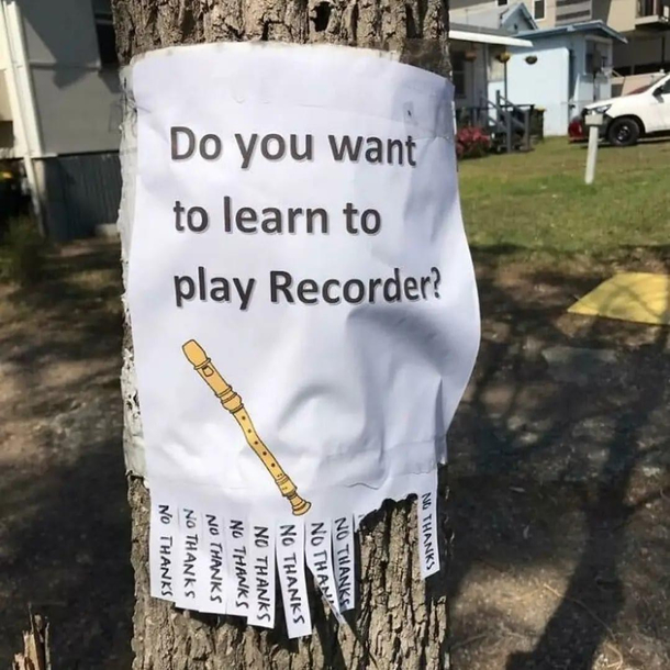 Do you want to learn to play Recorder