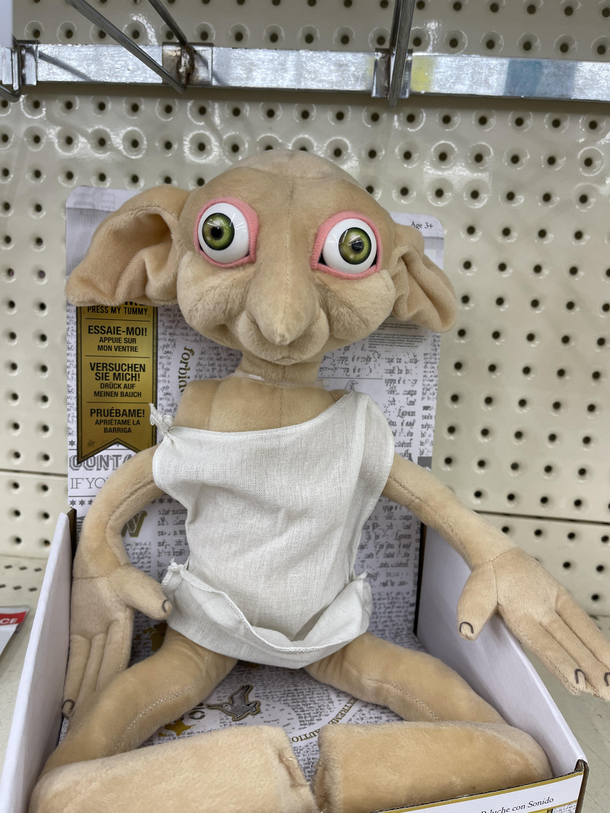 Dobby has seen some stuff 
