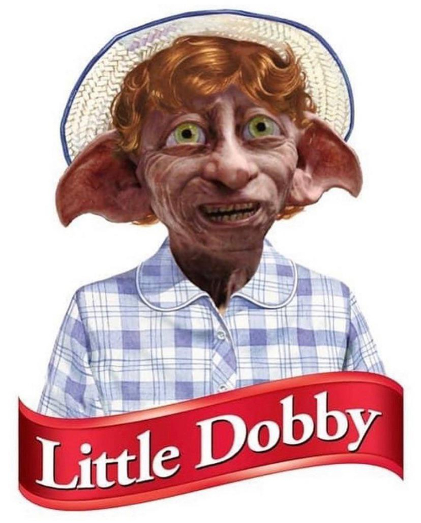Dobby ruins everything