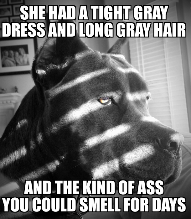 Does anyone remember Noir Dog