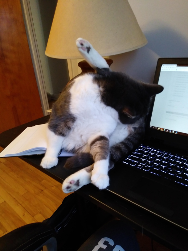 Does he have to do this everytime Im working
