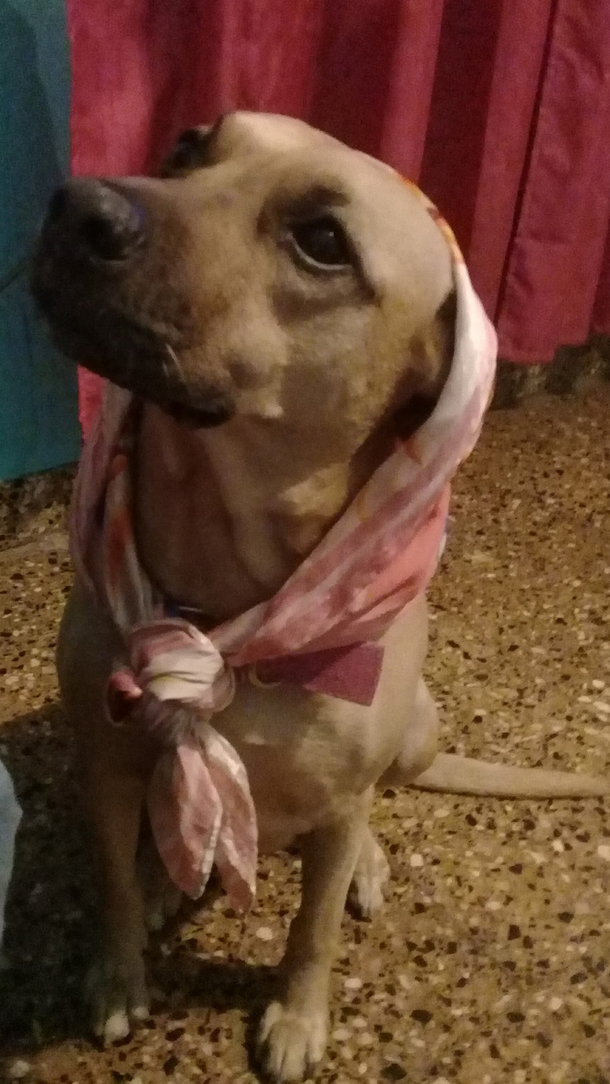 does she look beautiful in disguise or not hahaha I love her