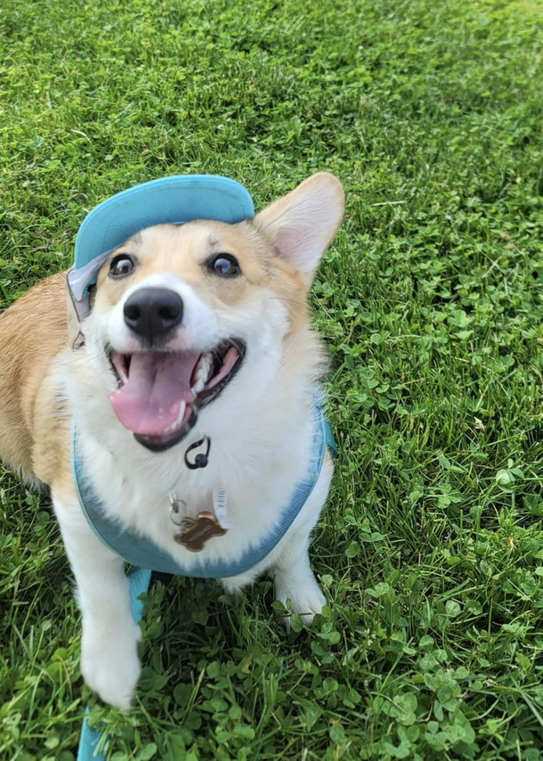 Does this hat make my ears look big